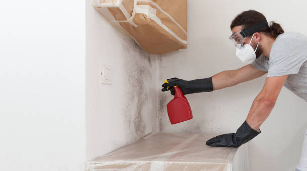 Professional Crawl Space Mold Remediation technician working in Atlantic Beach, NC